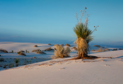 White Sands