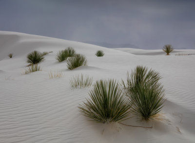 White Sands