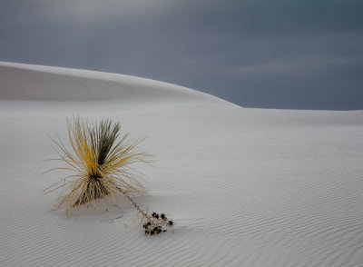 White Sands