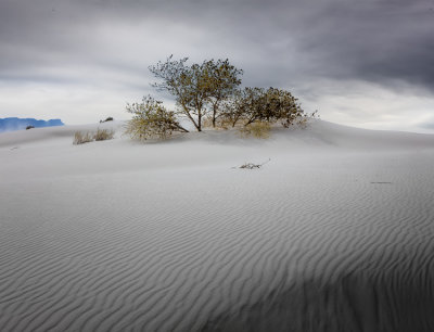 White Sands