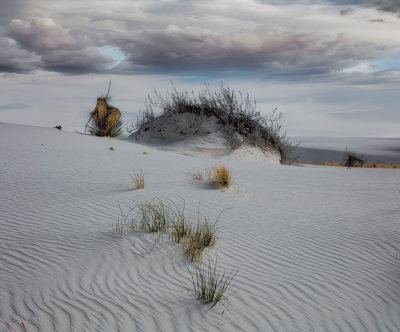 White Sands