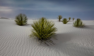 White Sands