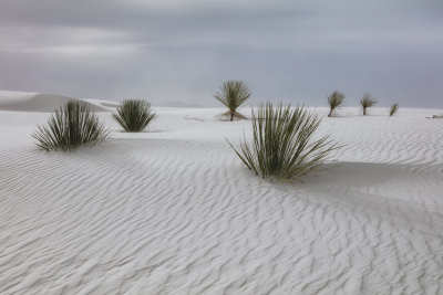 White Sands