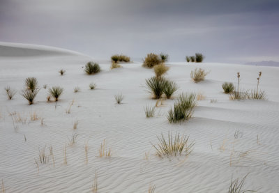 White Sands