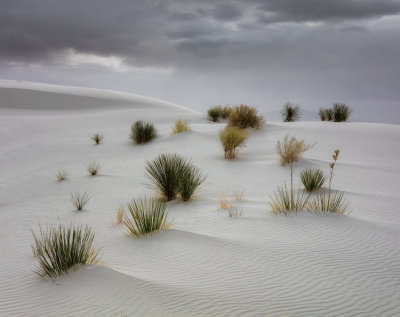 White Sands