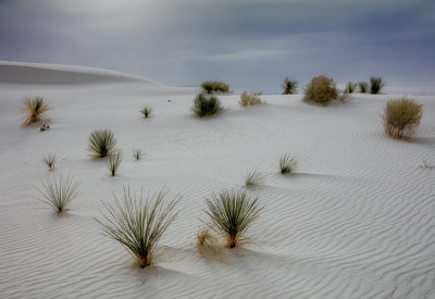 White Sands