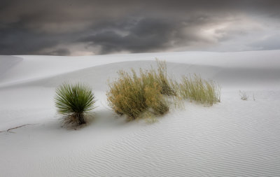 White Sands