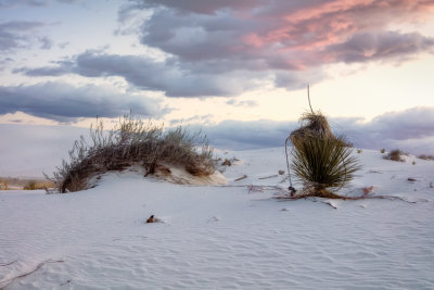 White Sands