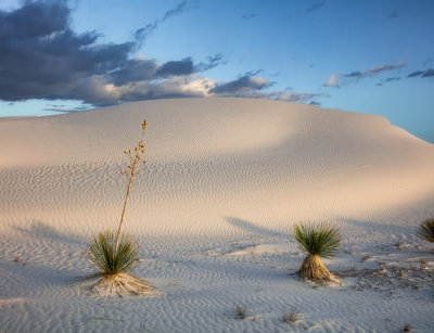 White Sands