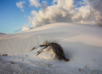 White Sands