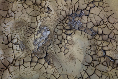 Bisti Badlands