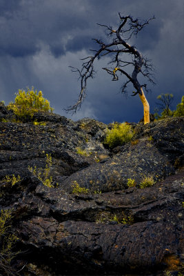 Craters of the Moon