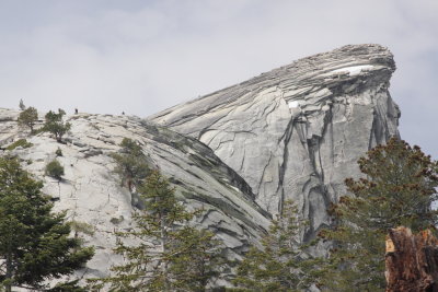 _MG_4337.JPG
