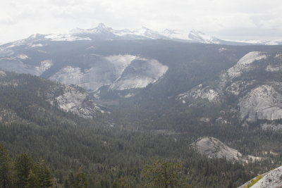 _MG_4339.JPG