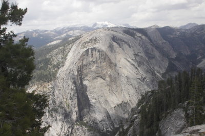 _MG_4528.JPG