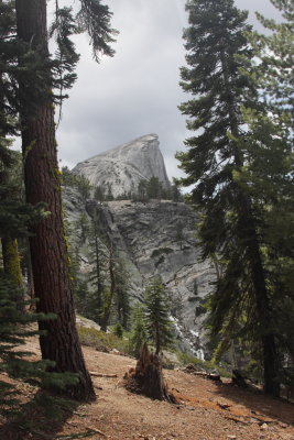 _MG_4562.JPG