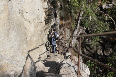_MG_4653.JPG