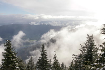_MG_6821.JPG