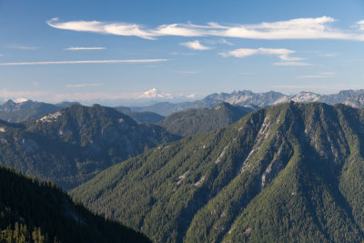 IMG_7435.jpg