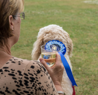 Petrockstowe Summer Fete, July 2013