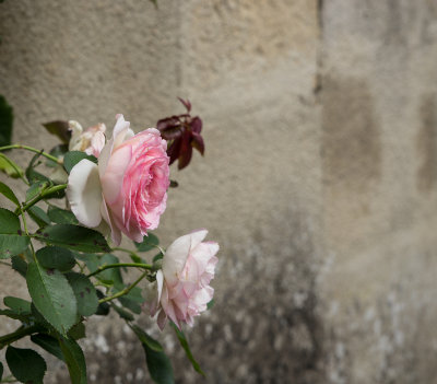 g9/63/768563/3/151801821.ahjpMozt.jpg