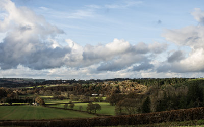 Across the meadows