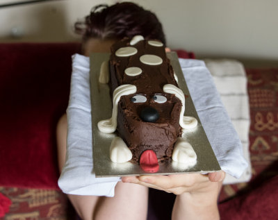Birthday girl, birthday cake.
