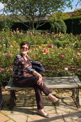A Rose in the Rosegarden at Rosemoor.
