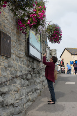 Looking at the local map.