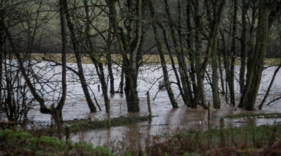 The Taw getting close to the road.