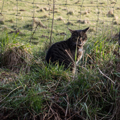 Hiding.