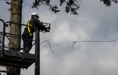  That's the electricity supply gone!