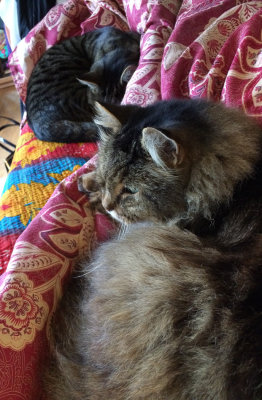 Not sure that there is room for me sometimes...