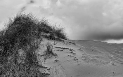  Dunes at Crow Point