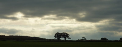  Devon skyline