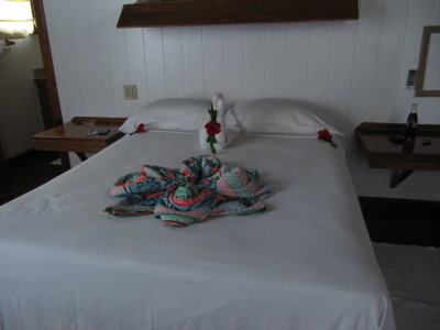 IMG_5390_HoneyMoonSuite.JPG