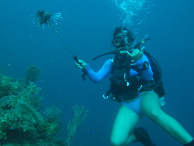 IMG_5536_LionfishHunter.JPG