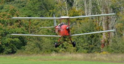 Tiger Moth_7064.jpg