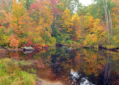 Fall Pond_1595.jpg