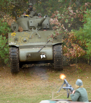 Sherman from the Woods_1948.jpg