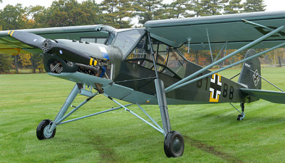 Storch_1635.jpg