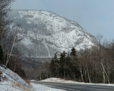 White Mountains_4535.jpg