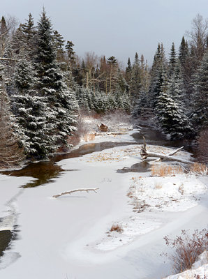 Winter Wetland_4562.jpg