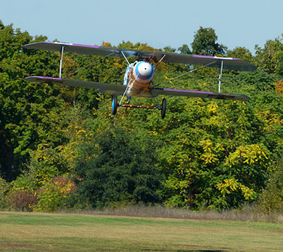 Albatros Take off_9844.jpg