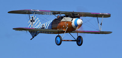 Albatros_0620.jpg