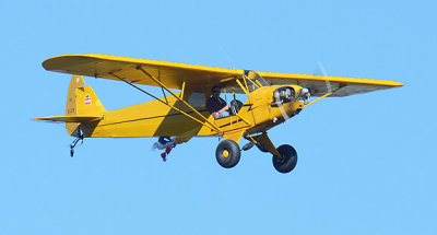 Piper Cub_1780.jpg