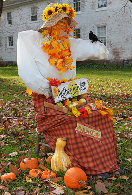 Old Wethersfield Scarecrows 2014