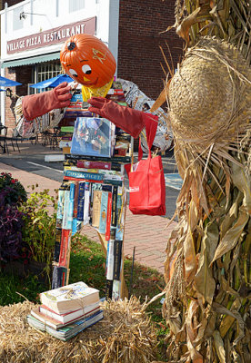 Smart Scarecrow_3573.jpg