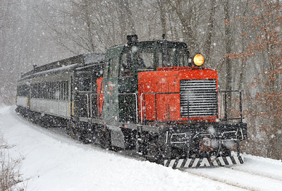 In the Snow_9751.jpg