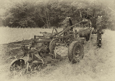 Zagray Farms 2016